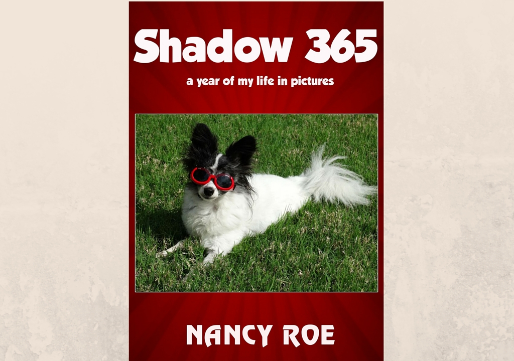 Introducing Shadow 365