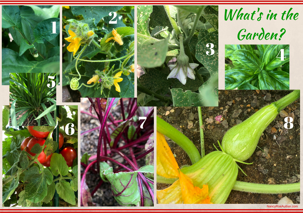 What's in the Garden